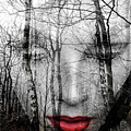 The face in the forest